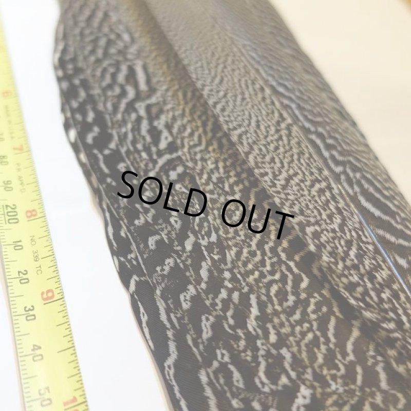 画像2: 【CANAL】 Speckled Pheasant コンプリートテール L (No.2) (2)