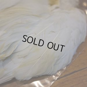 画像3: 【ANGLE】 LITTLE EGRET COMPLETE