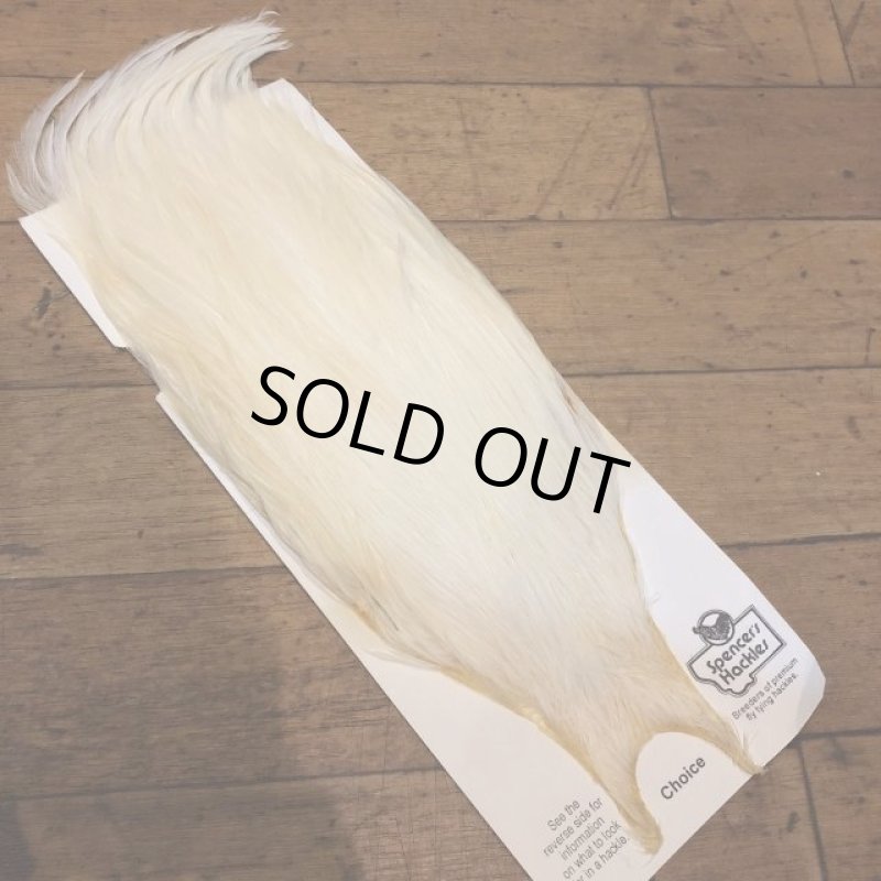 画像4: 【Spencer'sHackles】 Spencer Hackle Cock Neck Choice #3(SALE) (4)