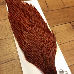 画像2: 【Spencer'sHackles】 Grizzly dyed Cock Neck Select #2 (SALE)