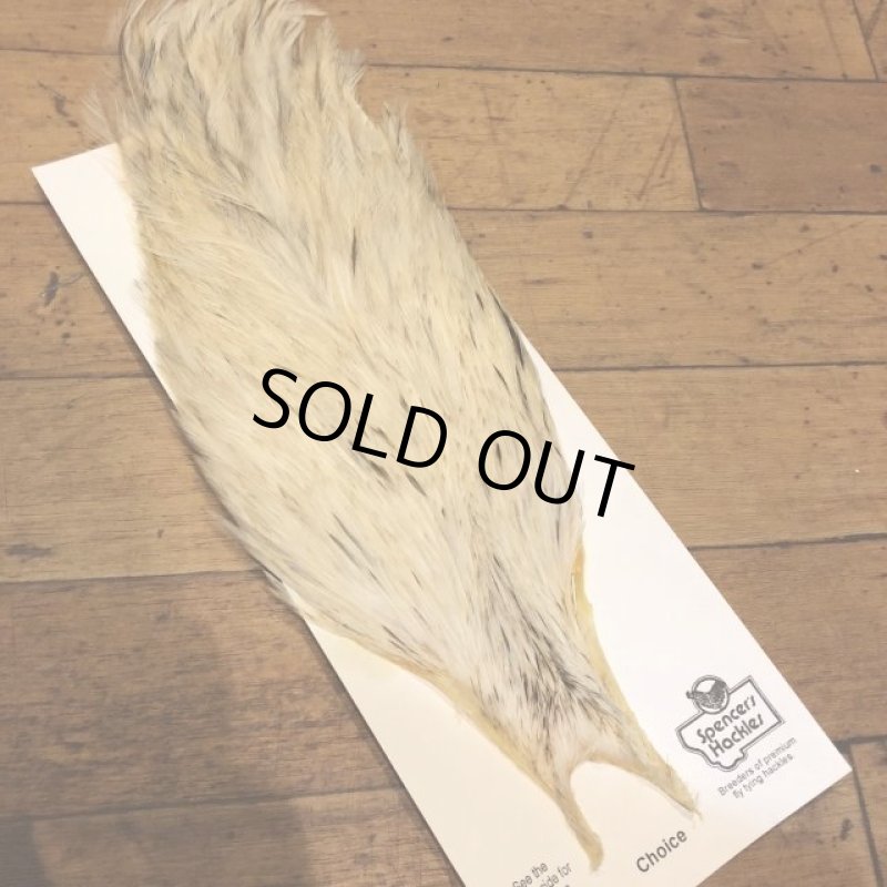 画像2: 【Spencer'sHackles】 Spencer Hackle Cock Neck Choice Cream Variant #3(SALE) (2)