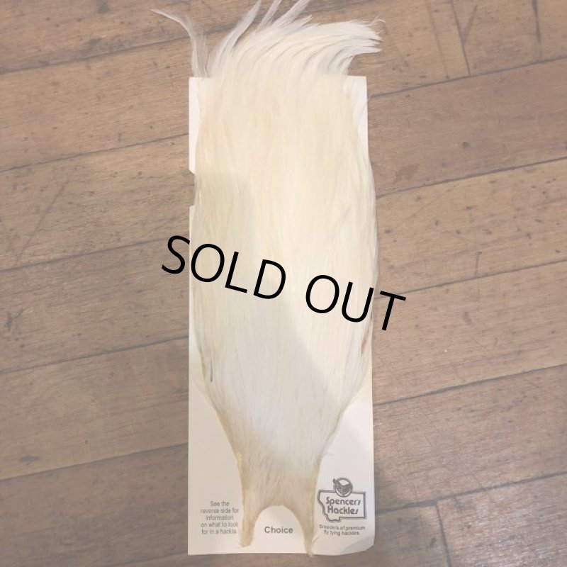 画像3: 【Spencer'sHackles】 Spencer Hackle Cock Neck Choice #3(SALE) (3)