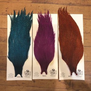 画像1: 【Spencer'sHackles】 Grizzly dyed Cock Neck Select #2 (SALE)