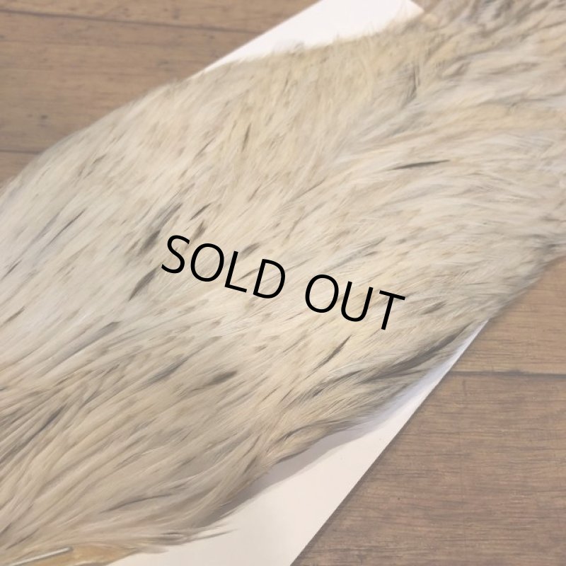 画像3: 【Spencer'sHackles】 Spencer Hackle Cock Neck Choice Cream Variant #3(SALE) (3)