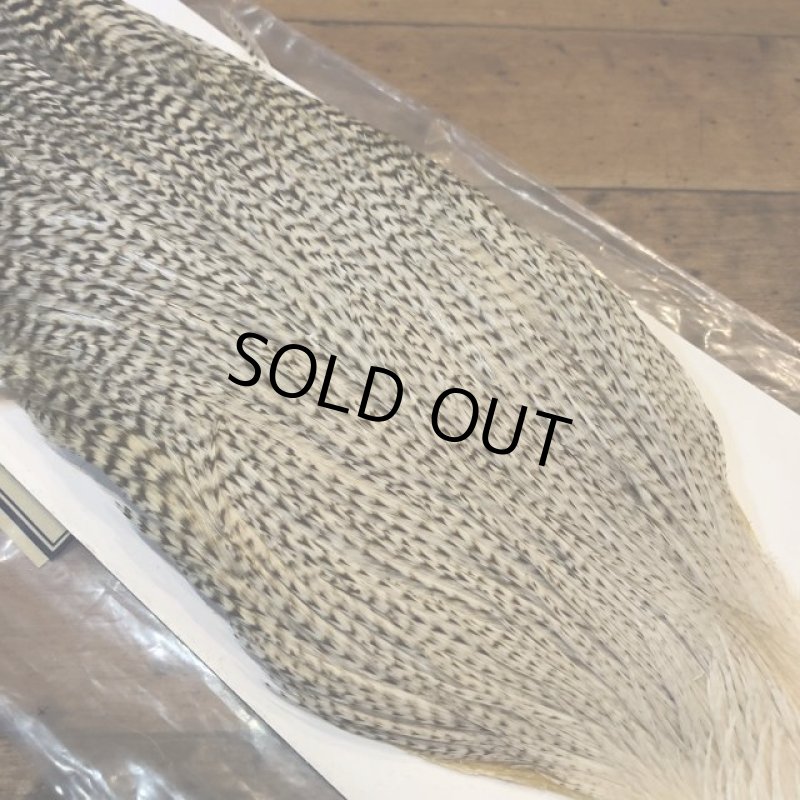 画像2: 【Spencer'sHackles】 Grizzly white Cock Neck Select #2 (SALE) (2)