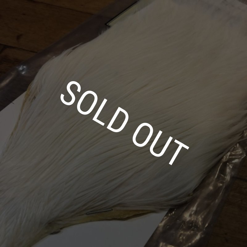 画像3: 【Spencer'sHackles】 Spencer Hackle Cock Neck Extra Select White #1 (SALE) (3)
