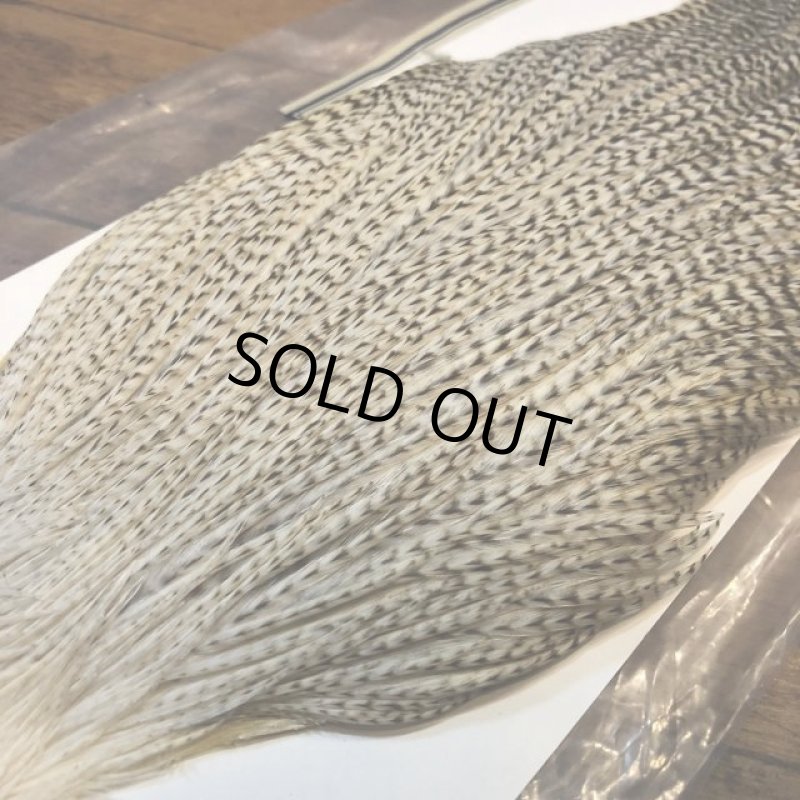 画像3: 【Spencer'sHackles】 Grizzly white Cock Neck Select #2 (SALE) (3)