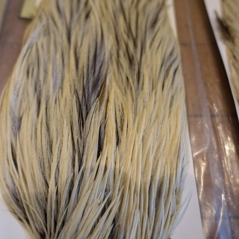 画像2: 【Spencer'sHackles】 Spencer Hackle Cock Neck Select Badger Natural #2(SALE)
