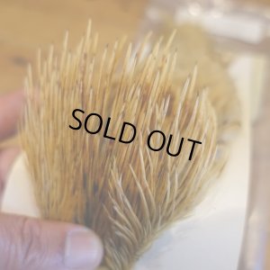 画像3: 【Spencer'sHackles】 Spencer Hackle Cock Neck Select Badger Natural #2(SALE)  