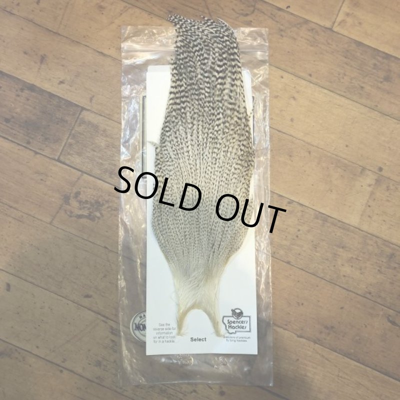 画像1: 【Spencer'sHackles】 Grizzly white Cock Neck Select #2 (SALE) (1)