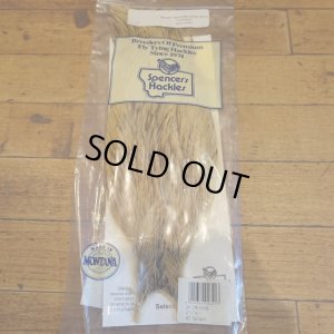 画像1: 【Spencer'sHackles】 Spencer Hackle Cock Neck Select Badger Natural #2(SALE)  