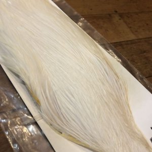 画像2: 【Spencer'sHackles】 Spencer Hackle Cock Neck Select White #2 (SALE)