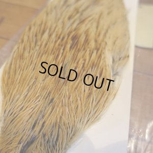 画像2: 【Spencer'sHackles】 Spencer Hackle Cock Neck Select Badger Natural #2(SALE)  