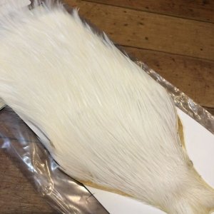 画像2: 【Spencer'sHackles】 Spencer Hackle Cock Neck Extra Select White #1 (SALE)