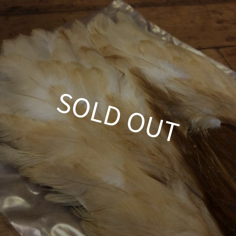 画像3: 【Spencer'sHackles】 Choice BROWN HEN NECK #3(SALE) (3)