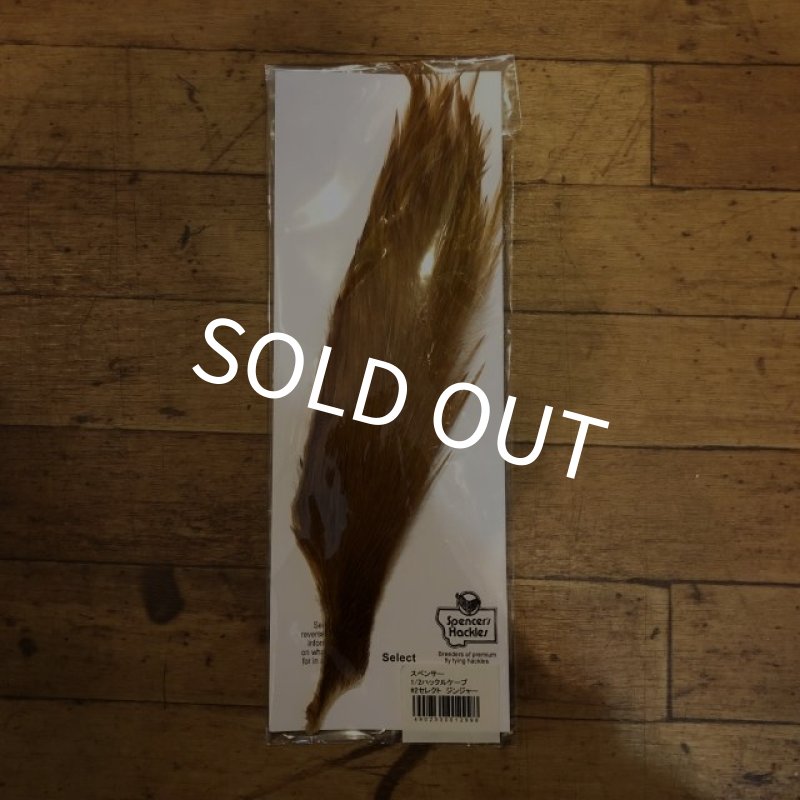 画像1: 【Spencer'sHackles】 1/2 Cock Neck Select Ginger #2 (SALE)  (1)