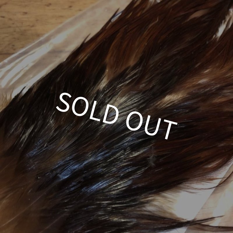 画像2: 【Spencer'sHackles】 Cock Saddle Choise Coachman Brown #3 (SALE) (2)