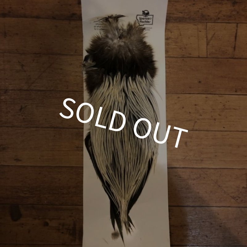 画像1: 【Spencer'sHackles】 Cock Saddle Extra Select Badger #1 (SALE) (1)