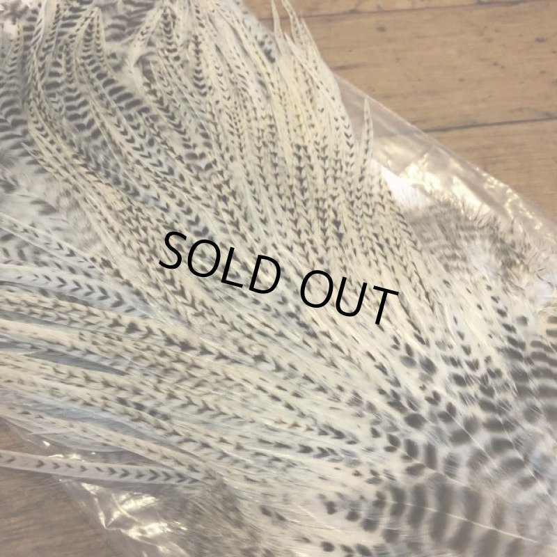 画像3: 【Spencer'sHackles】 Cock Saddle Choise BARRED WHITE #3 (SALE) (3)