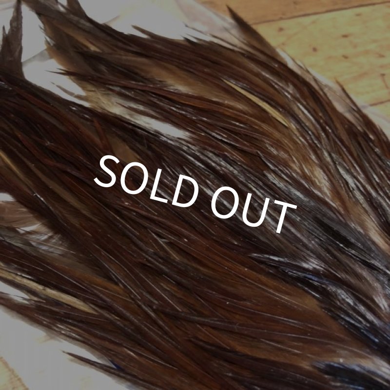 画像3: 【Spencer'sHackles】 Cock Saddle Choise Coachman Brown #3 (SALE) (3)