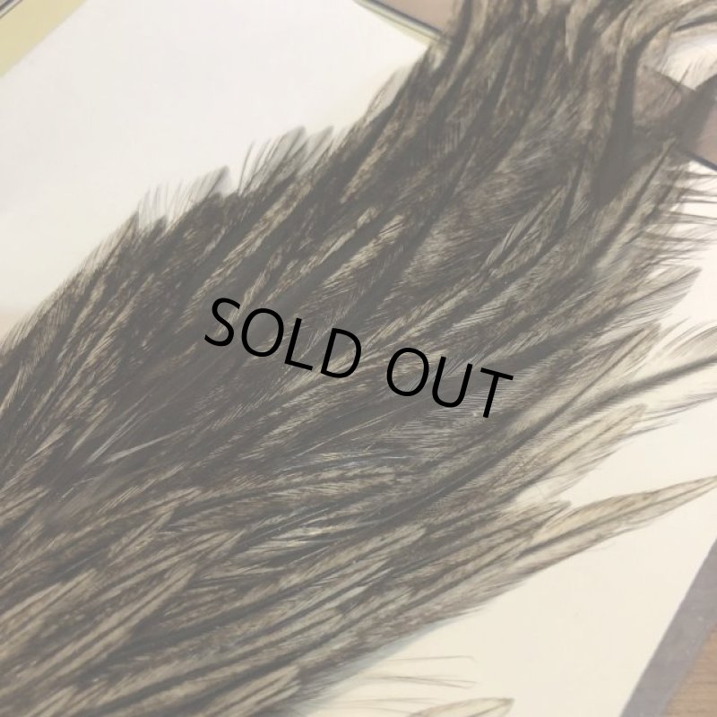 画像2: 【Spencer'sHackles】 1/2 Cock Neck Choise Badger #3 (SALE) (2)