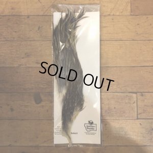 画像1: 【Spencer'sHackles】 1/2 Cock Neck Select Badger #2 (SALE)