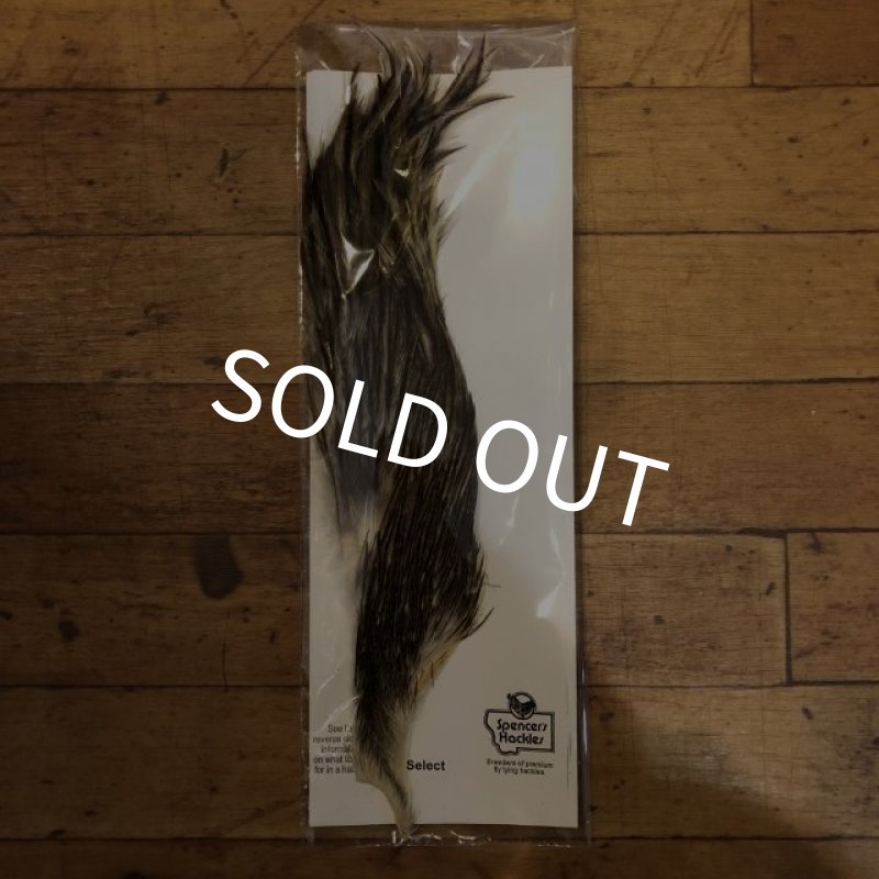 画像1: 【Spencer'sHackles】 1/2 Cock Neck Select Badger #2 (SALE) (1)