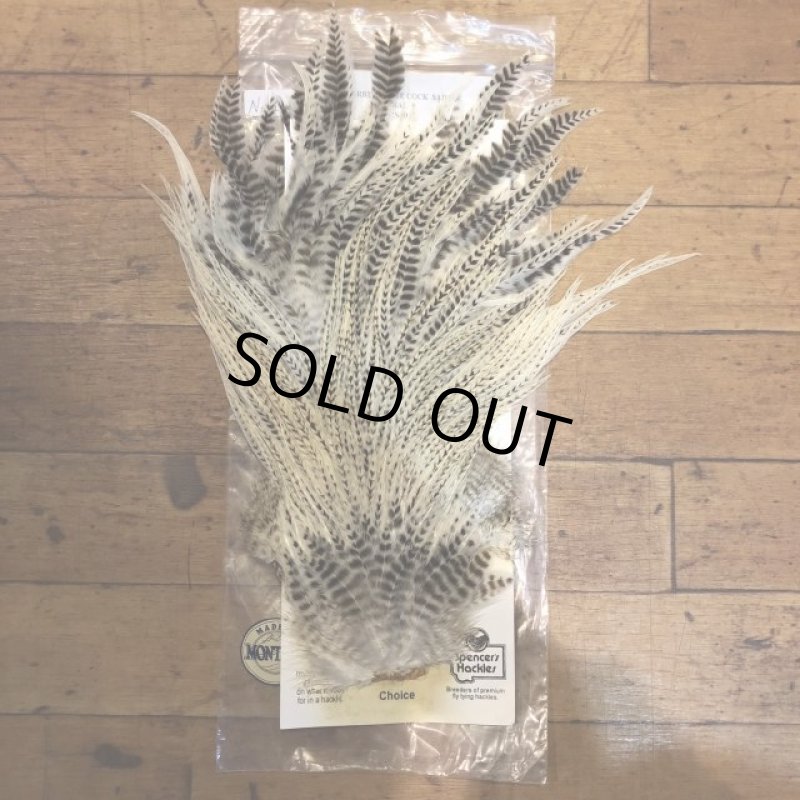 画像1: 【Spencer'sHackles】 Cock Saddle Choise BARRED WHITE #3 (SALE) (1)