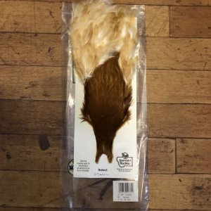 画像1: 【Spencer'sHackles】 SELECT BROWN HEN NECK #2(SALE)