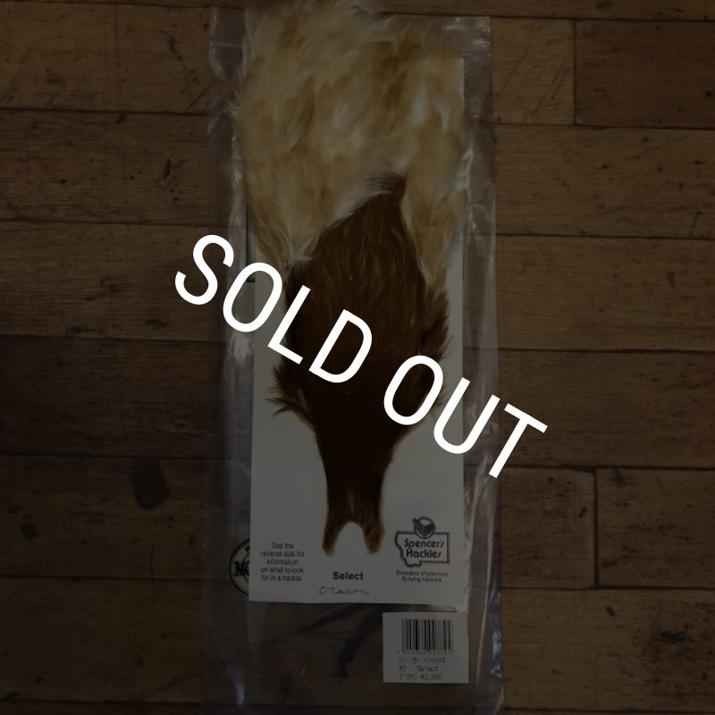 画像1: 【Spencer'sHackles】 SELECT BROWN HEN NECK #2(SALE) (1)