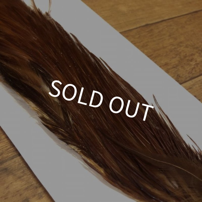 画像2: 【Spencer'sHackles】 1/2 Cock Neck Choise Brown #3 (SALE)  (2)