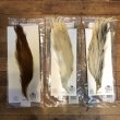 画像1: 【Spencer'sHackles】 1/2 Cock Neck Choise Ginger #3 (SALE) (1)