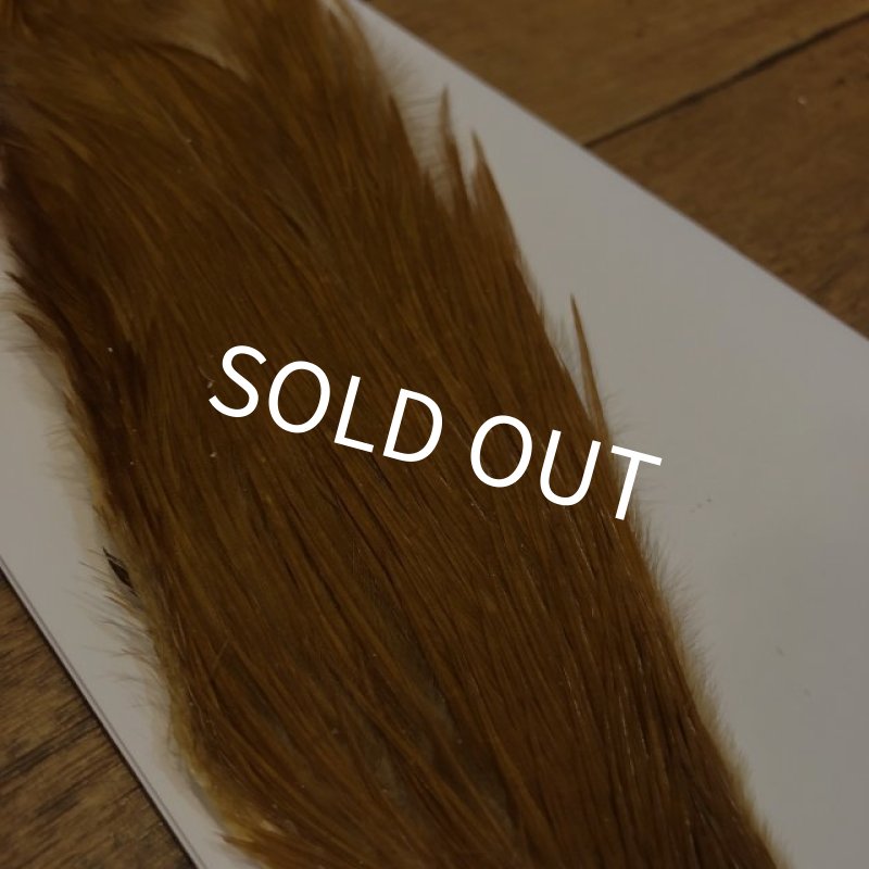 画像2: 【Spencer'sHackles】 1/2 Cock Neck Select Ginger #2 (SALE)  (2)