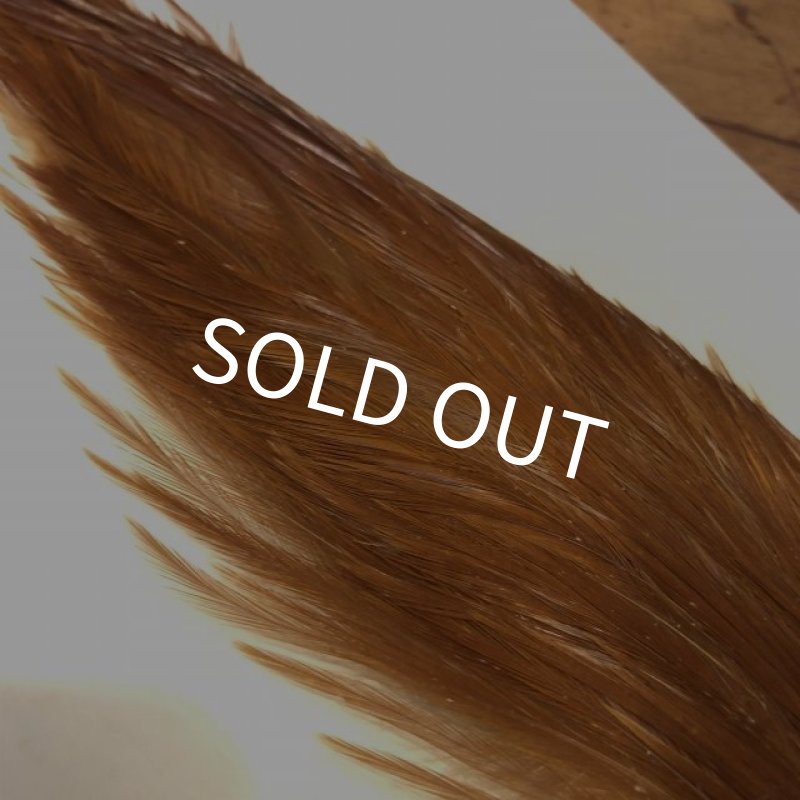 画像3: 【Spencer'sHackles】 1/2 Cock Neck Choise Ginger #3 (SALE) (3)