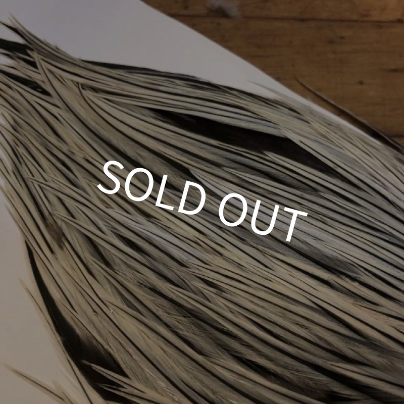 画像3: 【Spencer'sHackles】 Cock Saddle Extra Select Badger #1 (SALE) (3)