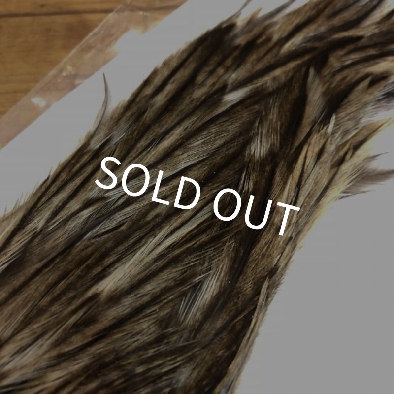 画像3: 【Spencer'sHackles】 1/2 Cock Neck Select Badger #2 (SALE) (3)