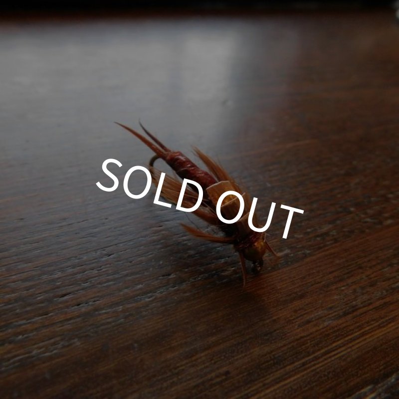 画像1: 【完成品フライ】 ストーンフライ (1)