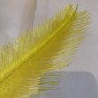 画像2: Rhea Feather Large (2)