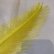 画像2: Rhea Feather Large (2)