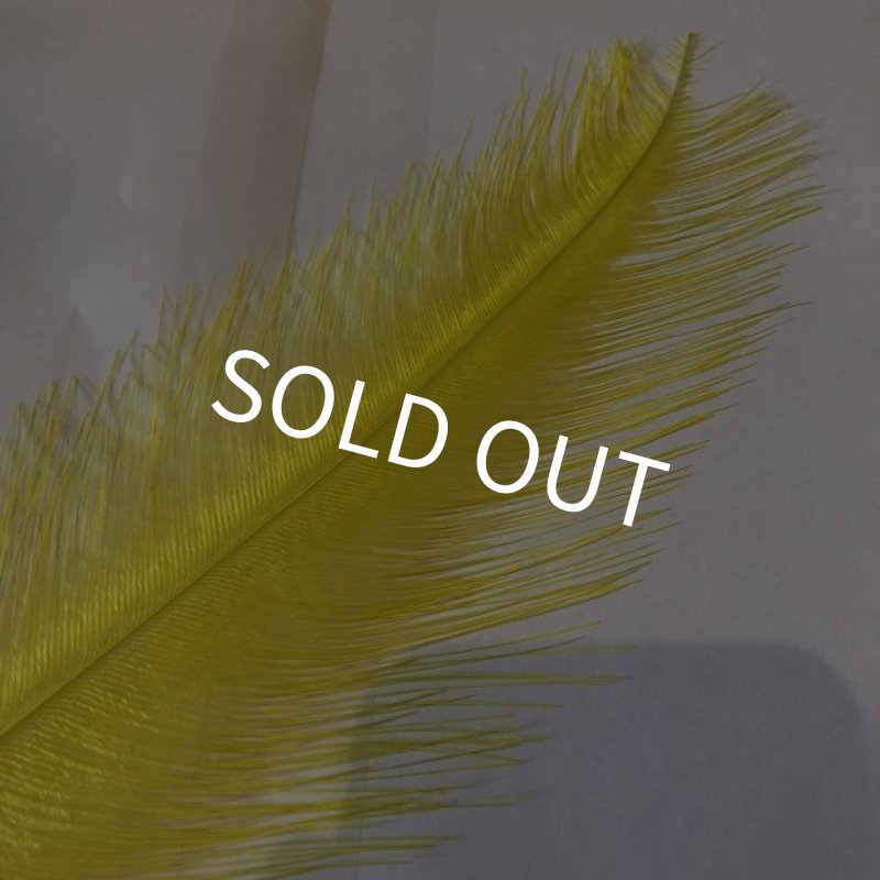 画像2: Rhea Feather Large (2)