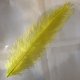 Rhea Feather Large