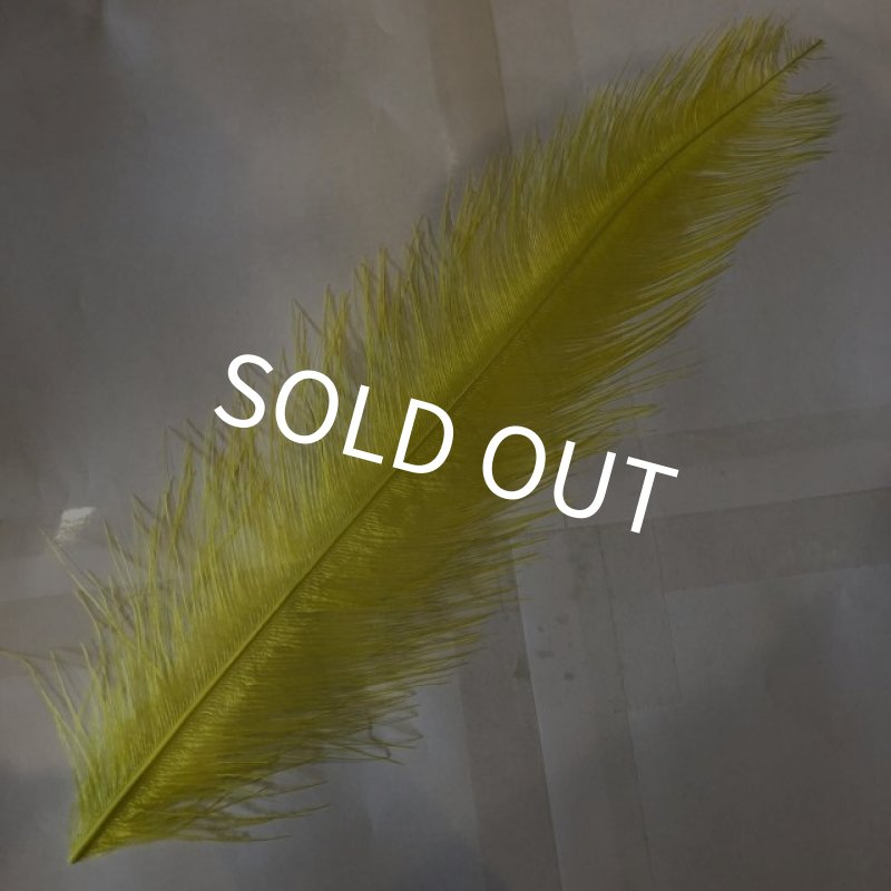 画像1: Rhea Feather Large (1)