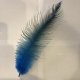 Rhea Feather Medium