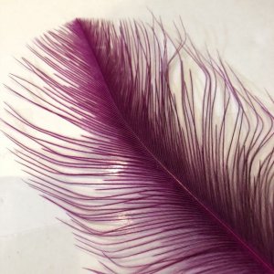 画像2: Rhea Feather Small