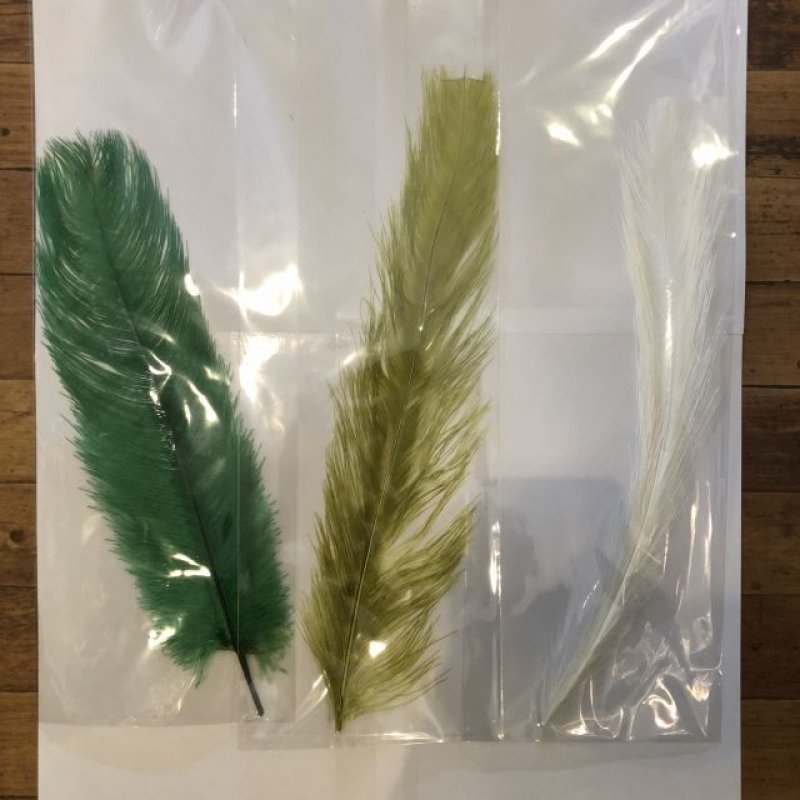 画像3: Rhea Feather Large