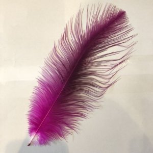 画像1: Rhea Feather Small