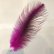 画像1: Rhea Feather Small (1)