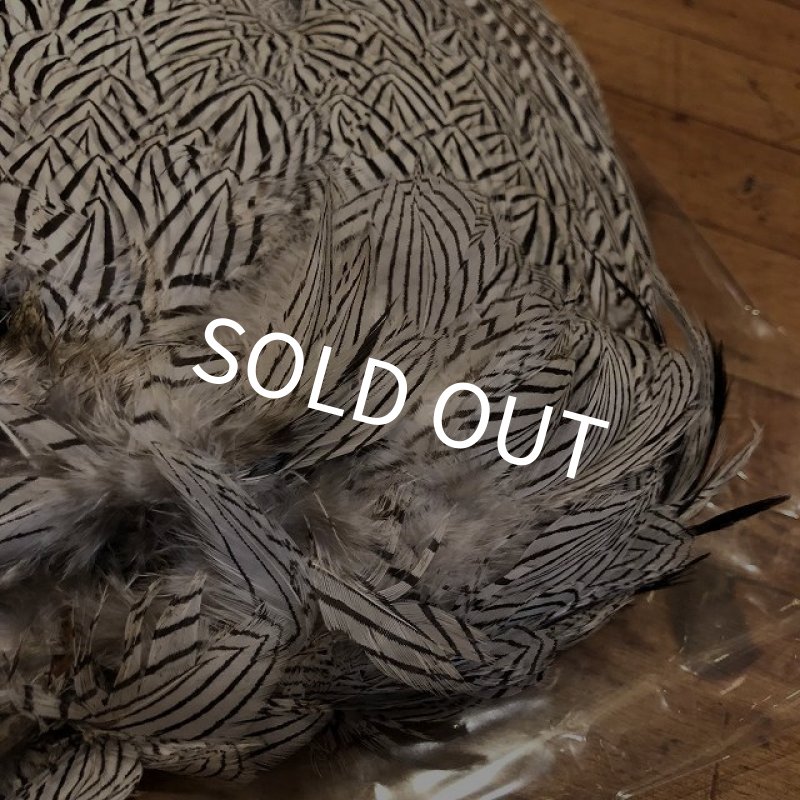 画像3: 【ANGLE】 SILVER PHEASANT BODYSKIN (3)