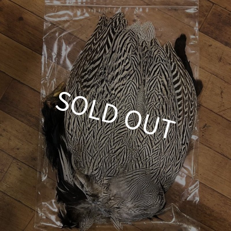 画像1: 【ANGLE】 SILVER PHEASANT BODYSKIN (1)