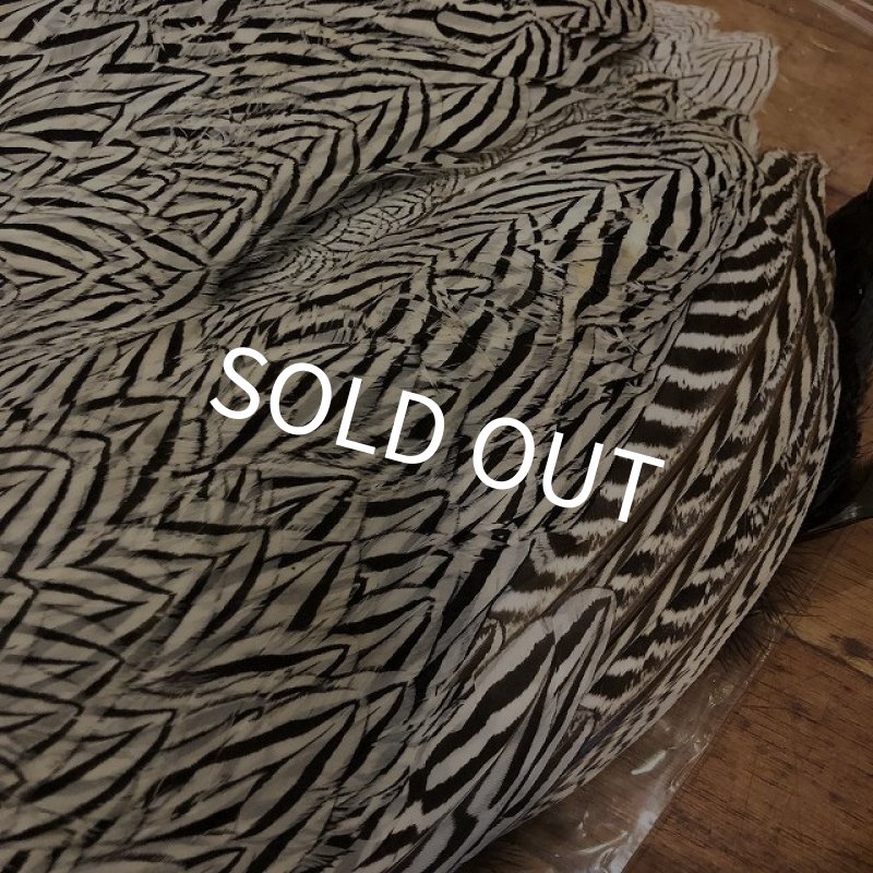 画像2: 【ANGLE】 SILVER PHEASANT BODYSKIN (2)